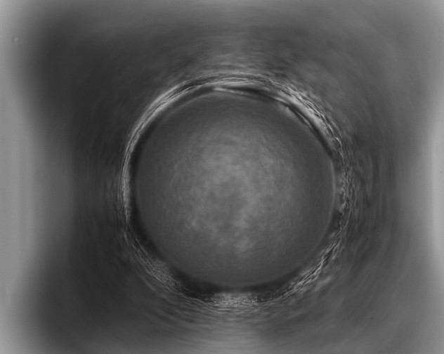 X0000096980296200802081413