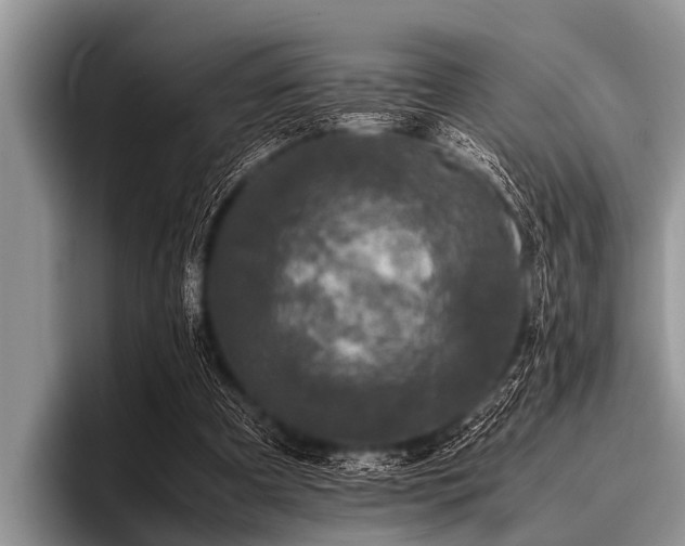 X0000096980297200802081413