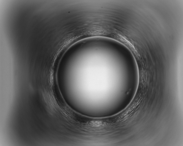 X0000096980298200802081413