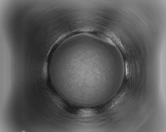 X0000096980300200802081413