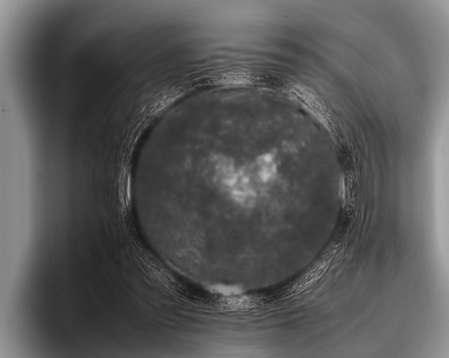 X0000096980301200802081413