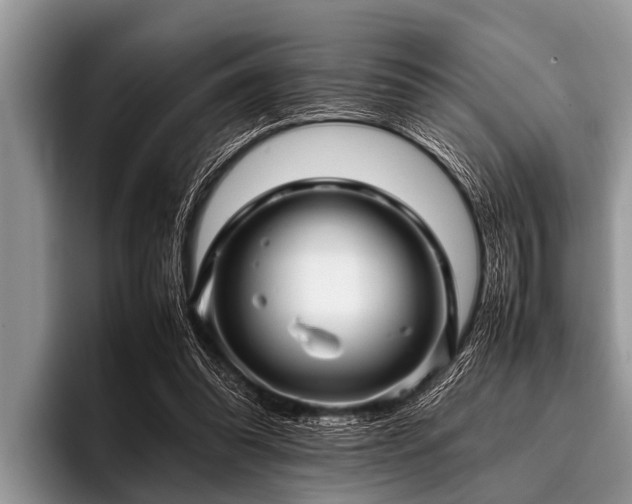 X0000096980302200802081413