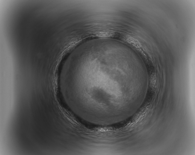 X0000096980303200802081413