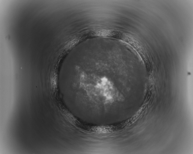 X0000096980305200802081413