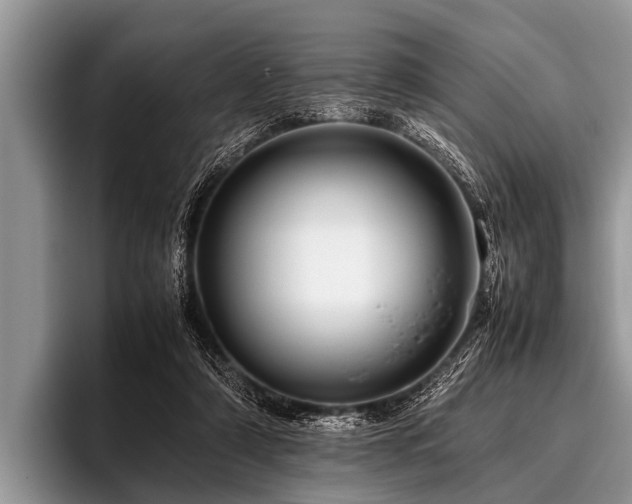 X0000096980306200802081413