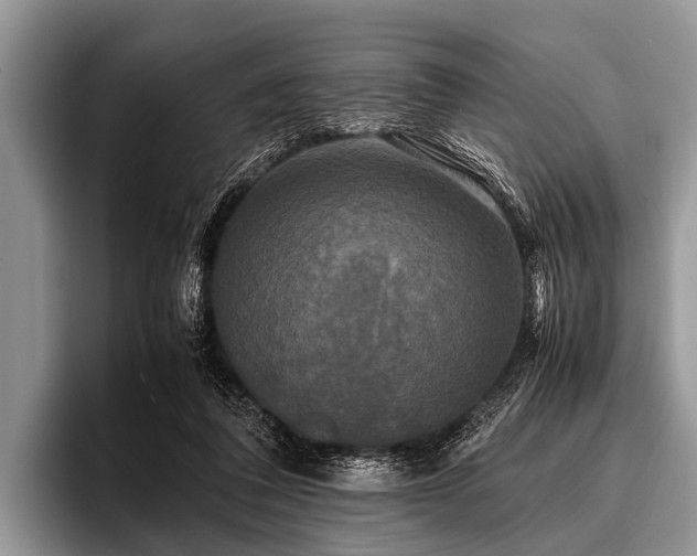 X0000096980308200802081413