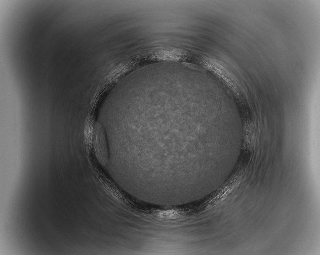 X0000096980309200802081413