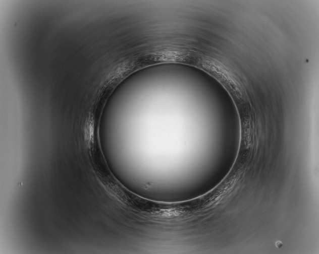 X0000096980310200802081413