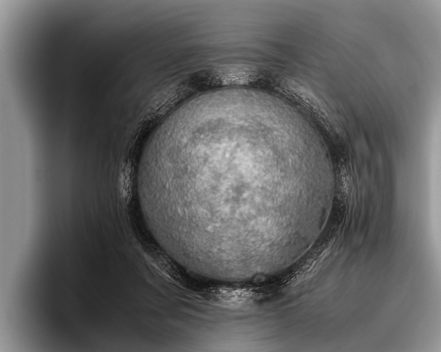 X0000096980311200802081413