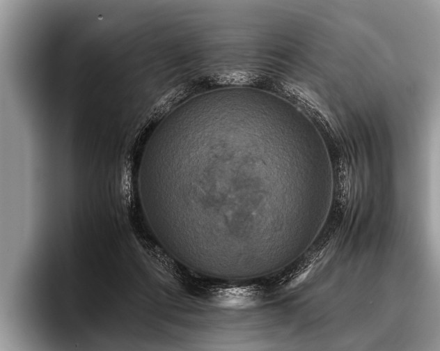 X0000096980312200802081413