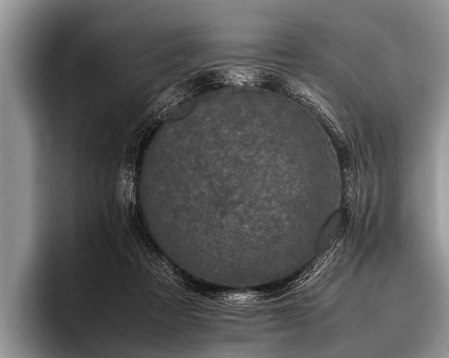 X0000096980313200802081413