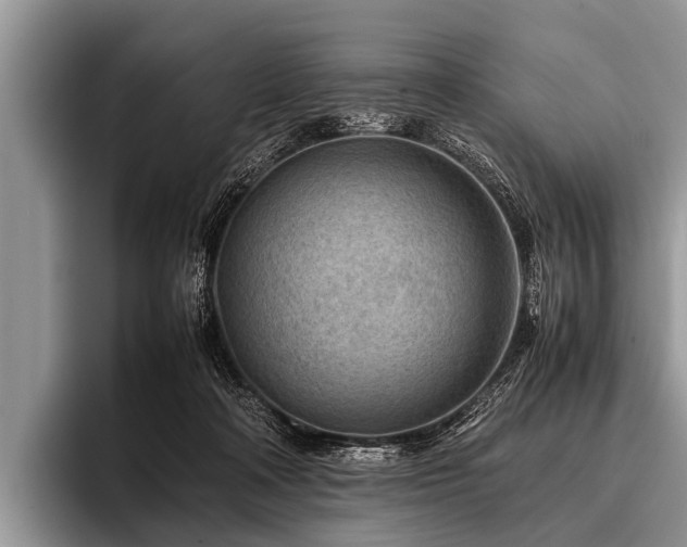 X0000096980314200802081413