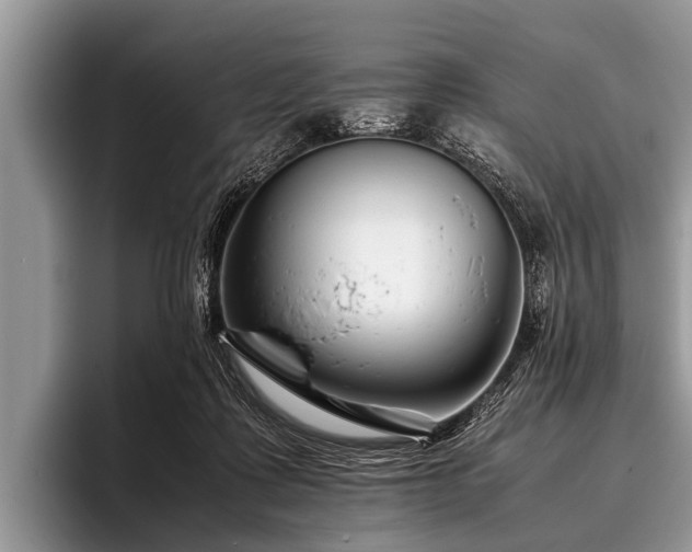 X0000096980315200802081413