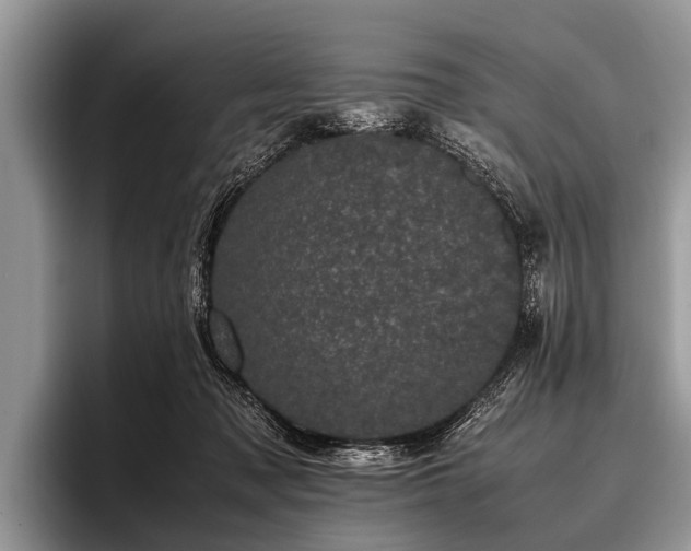 X0000096980317200802081412