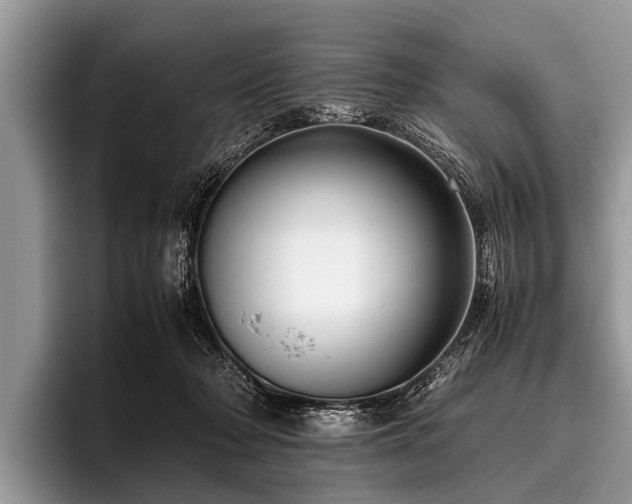 X0000096980318200802081412