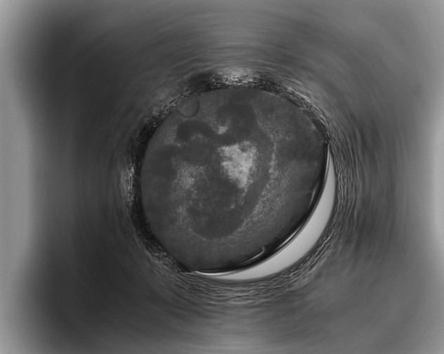 X0000096980319200802081412