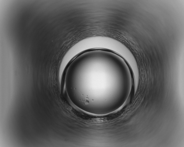 X0000096980320200802081412