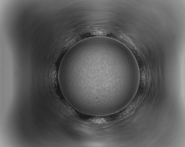 X0000096980322200802081412