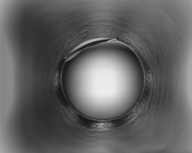 X0000096980323200802081412