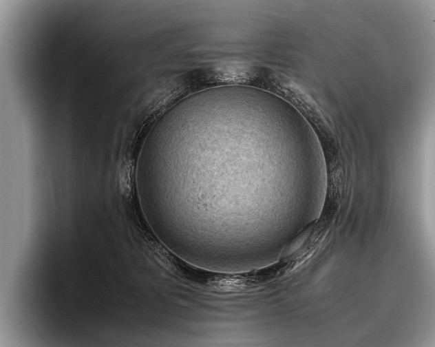 X0000096980325200802081412