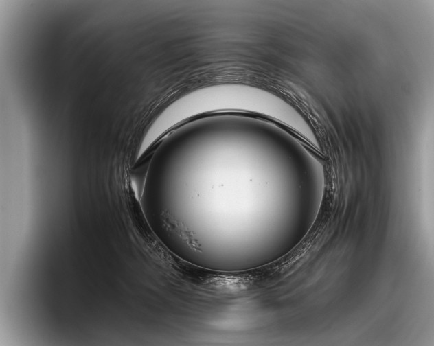 X0000096980326200802081412