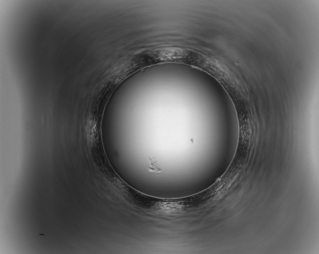 X0000096980327200802081412