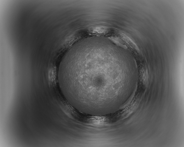 X0000096980328200802081412