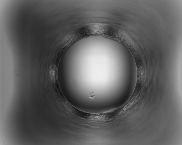 X0000096980329200802081412