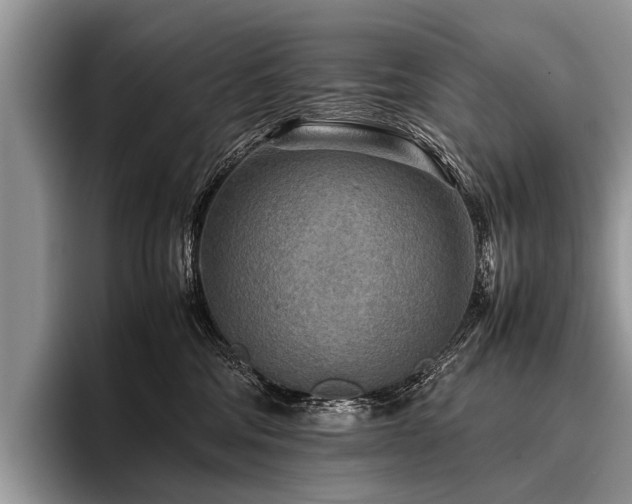 X0000096980330200802081412