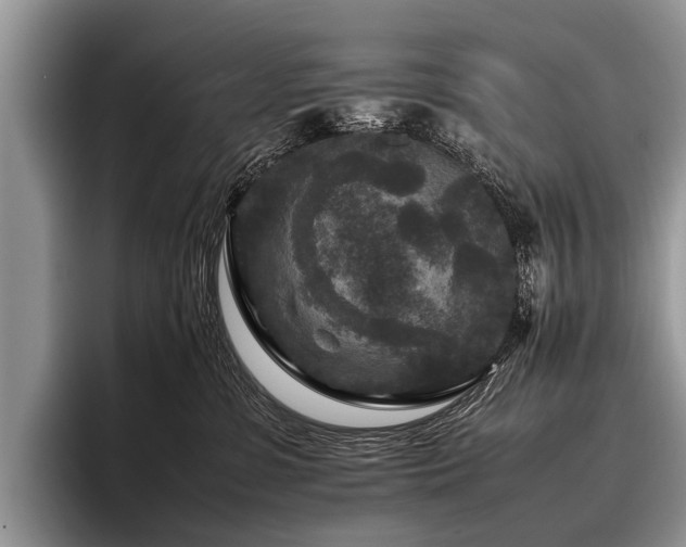 X0000096980331200802081412