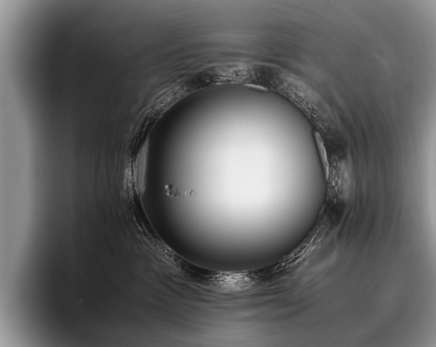 X0000096980333200802081412