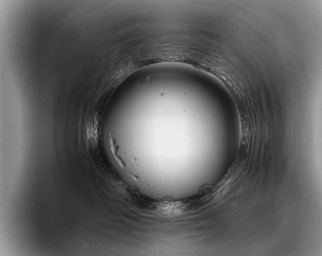 X0000096980334200802081412