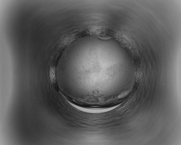 X0000096980335200802081412