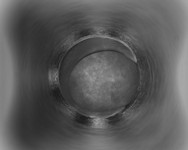 X0000096980336200802081412