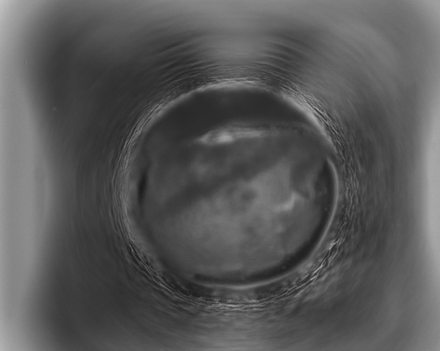 X0000096980337200802081412