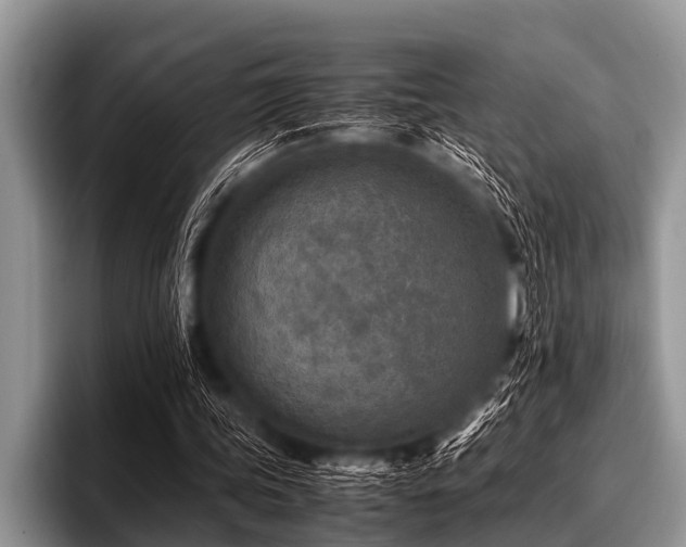 X0000096980339200802081412