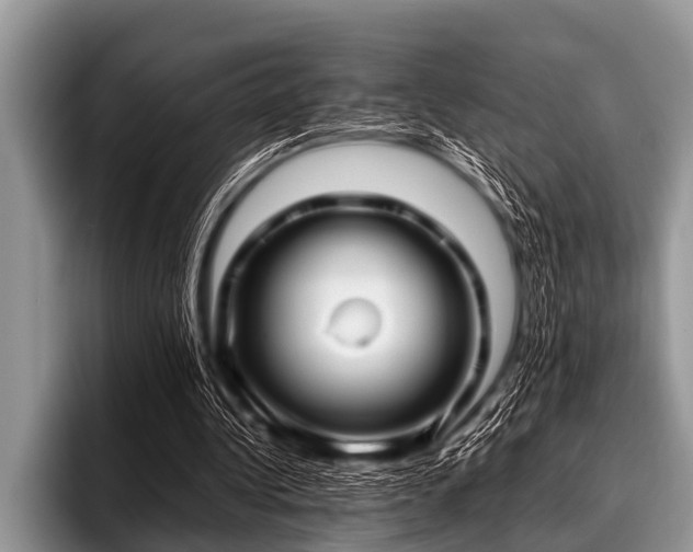 X0000096980340200802081412