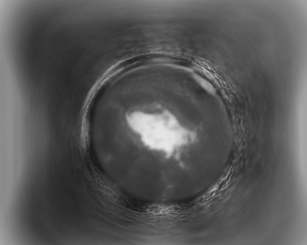 X0000096980343200802081412