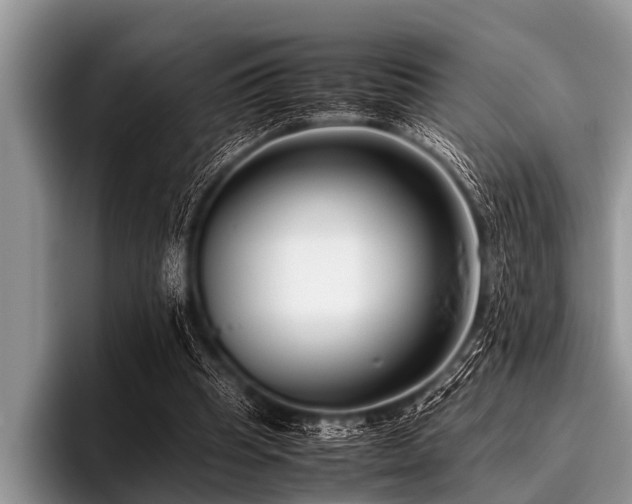 X0000096980345200802081412