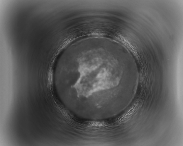 X0000096980347200802081412