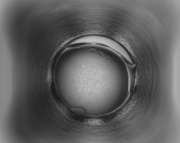 X0000096980348200802081412