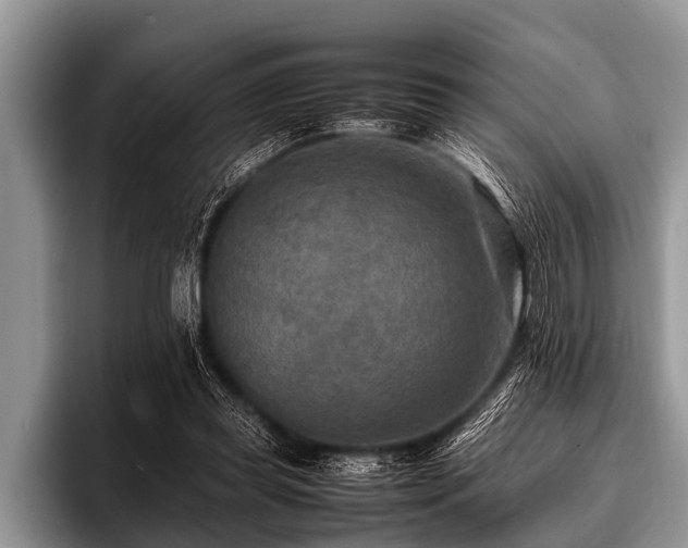 X0000096980349200802081412