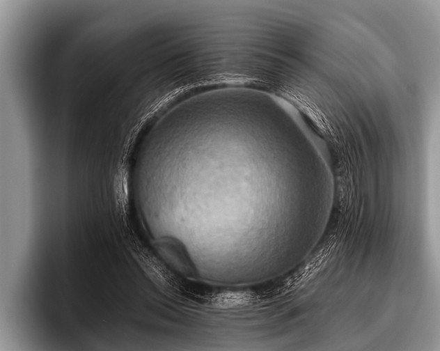 X0000096980350200802081412