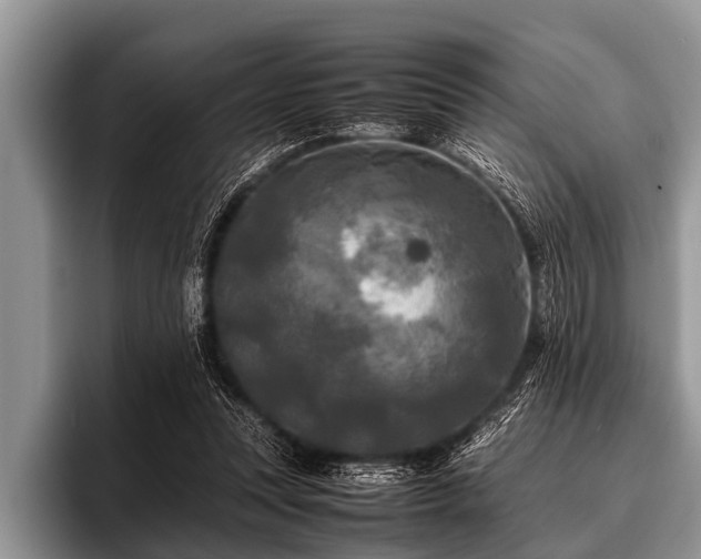 X0000096980351200802081412