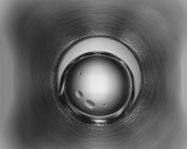 X0000096980352200802081412