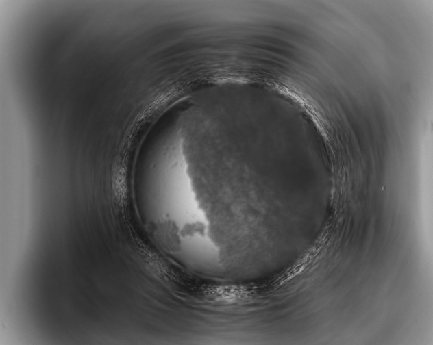 X0000096980353200802081412