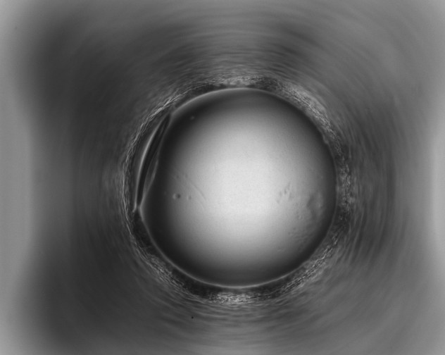 X0000096980354200802081412