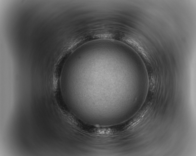 X0000096980355200802081412