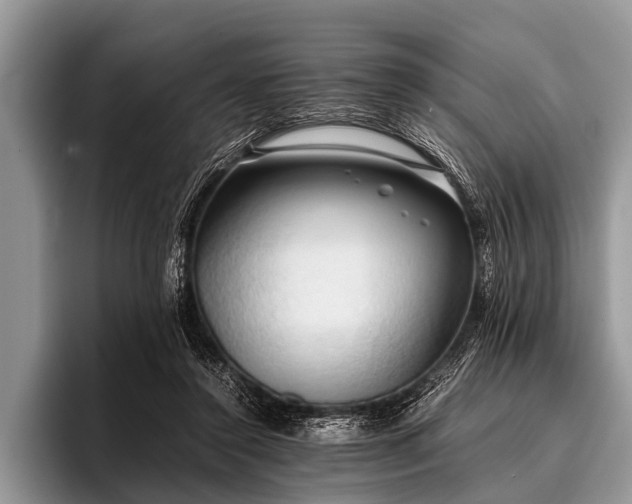 X0000096980356200802081412