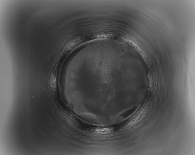 X0000096980357200802081412